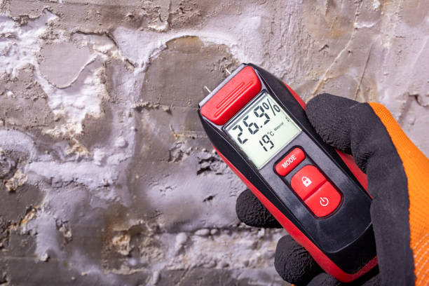 Best Toxic Mold Removal  in Estherville, IA